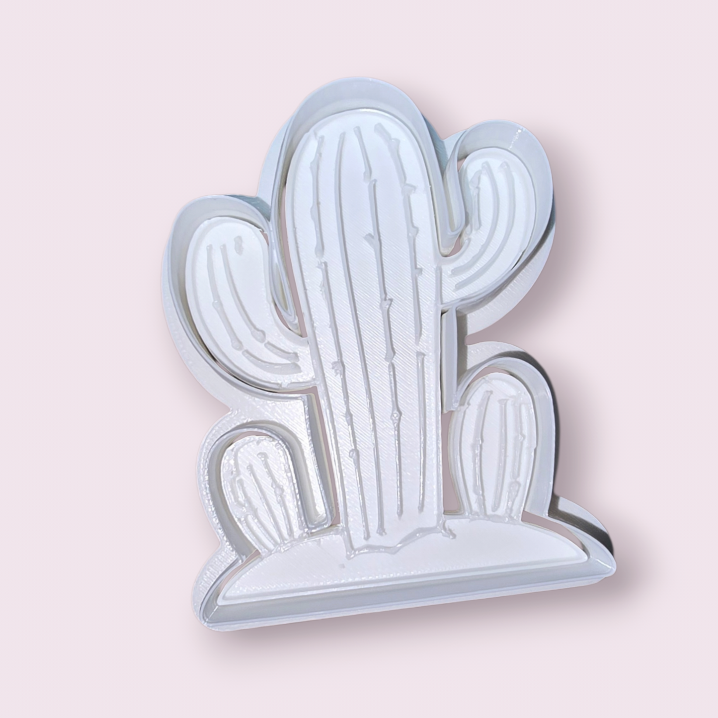 CACTUS #1