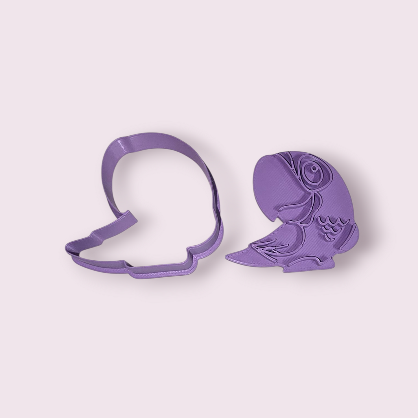 COTORRA PUERTORRIQUEÑA  #2