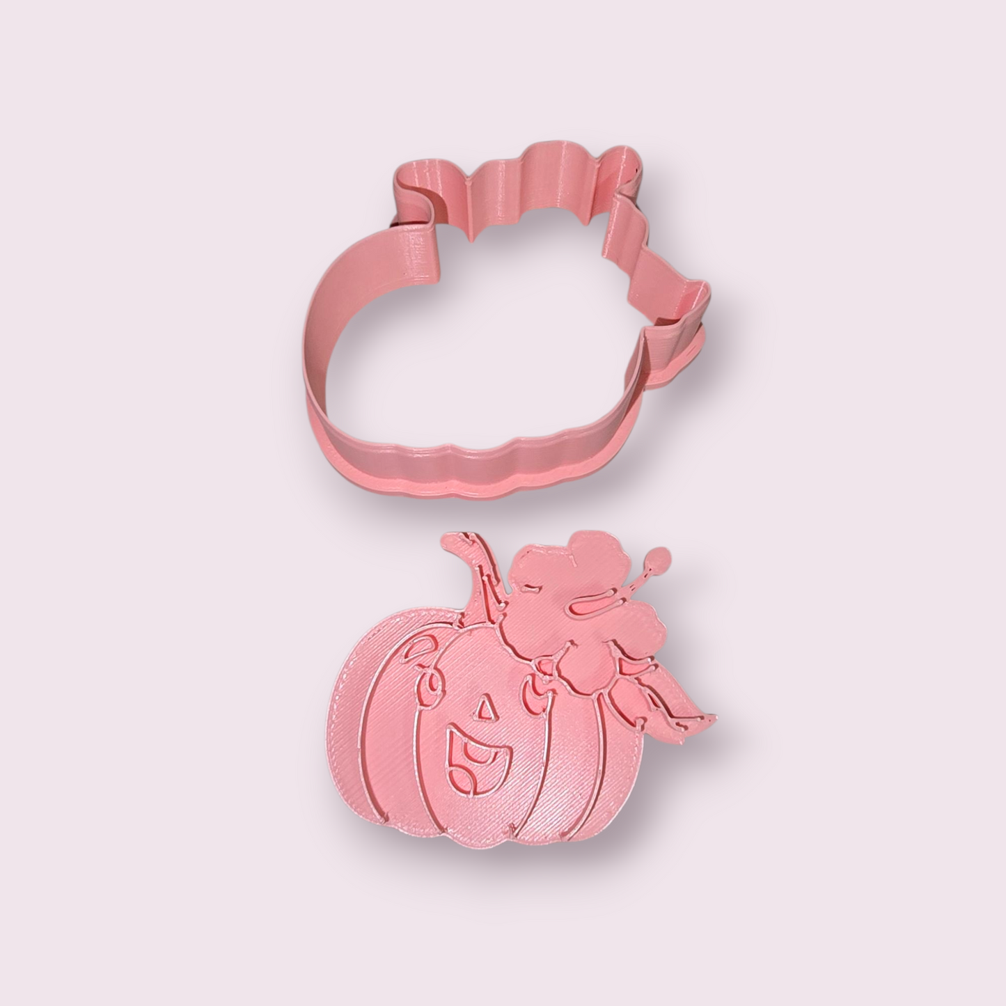 CALABAZA #2 CON AMAPOLA