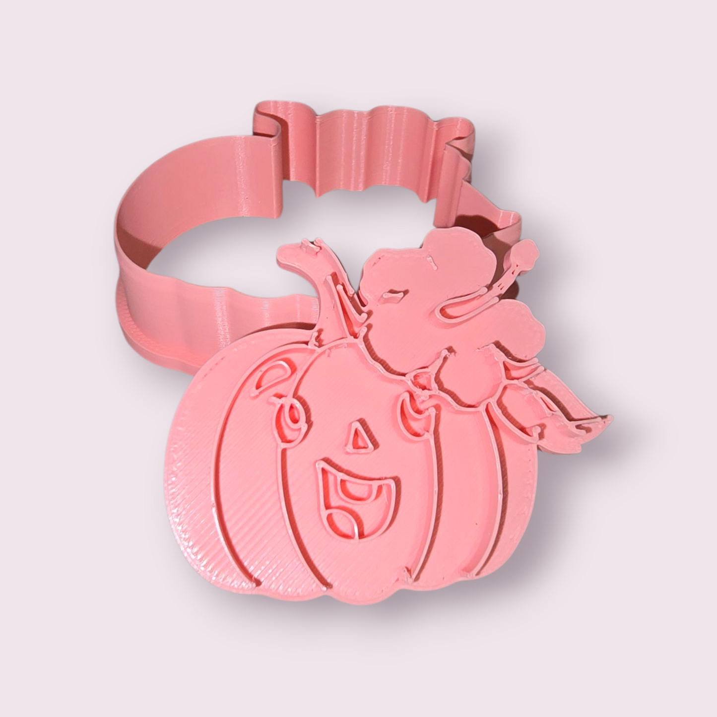 CALABAZA #2 CON AMAPOLA