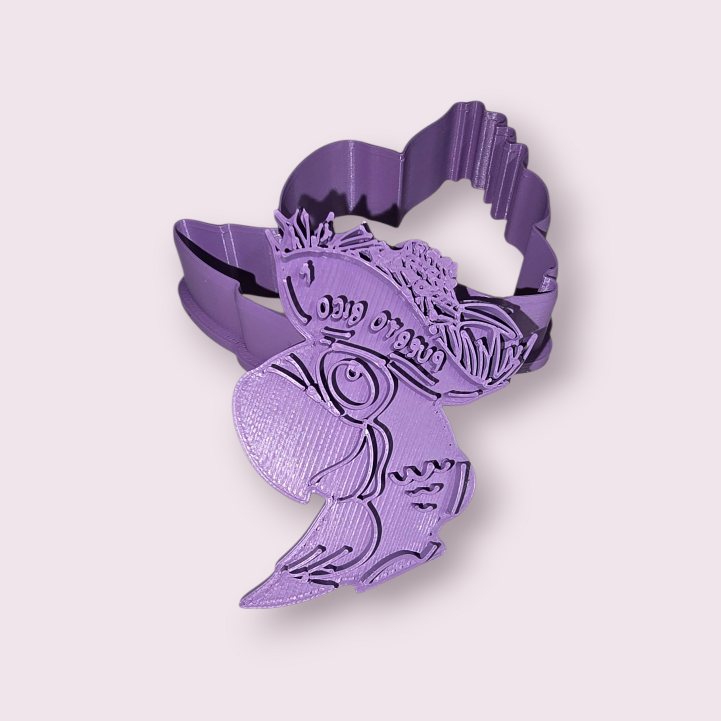 COTORRA PUERTORRIQUEÑA con pava  #3