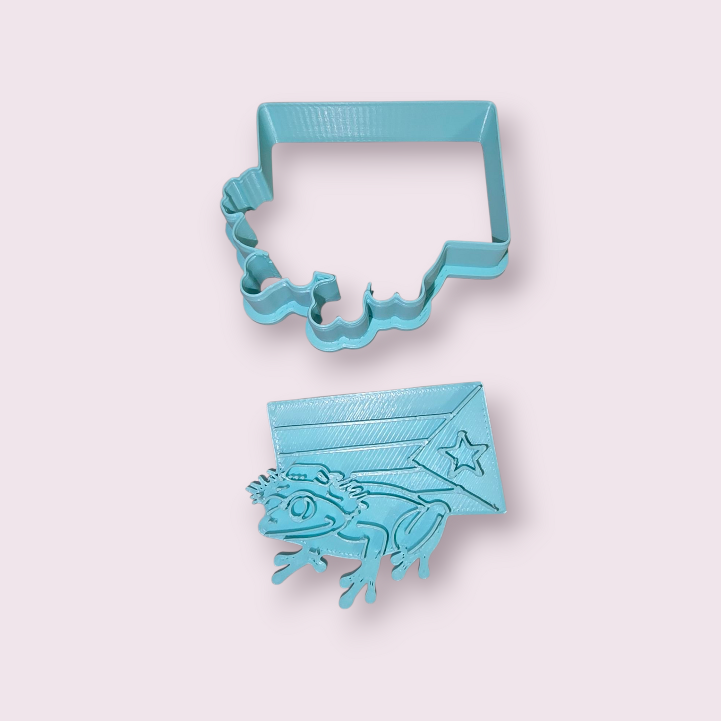 COQUÍ CON BANDERA Y PAVA #1