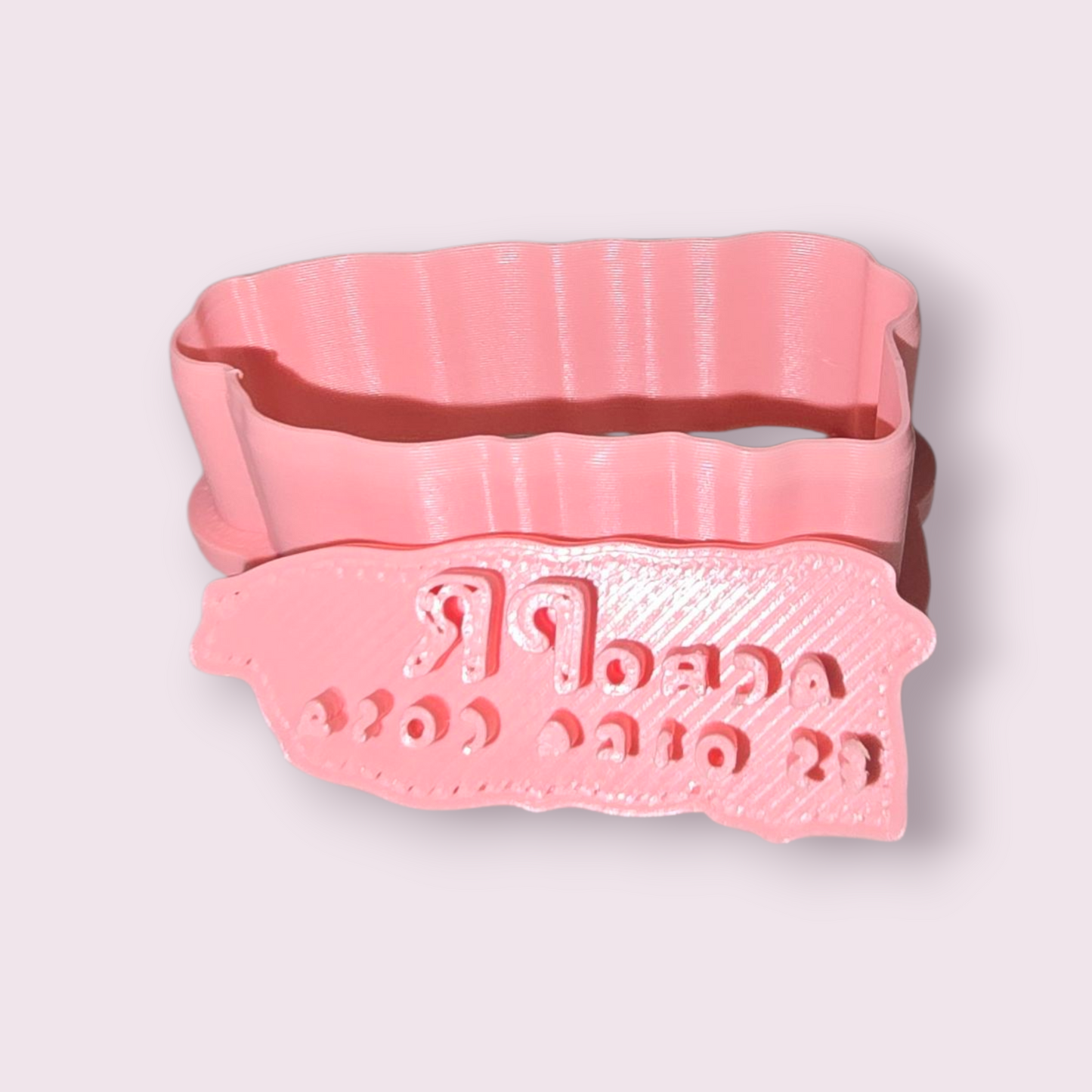 ACHO PR ES OTRA COSA #2 ISLA PUERTO RICO