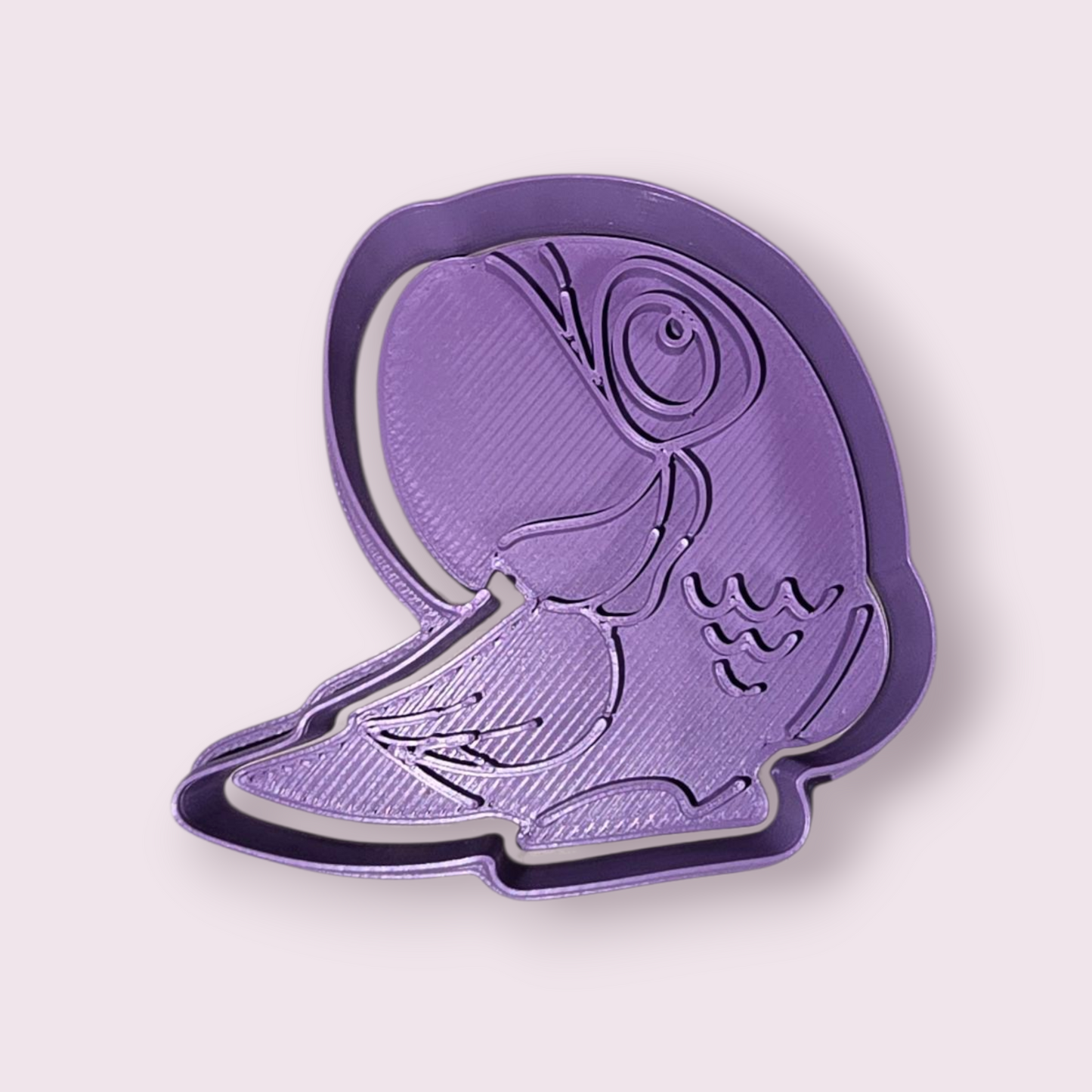 COTORRA PUERTORRIQUEÑA  #2