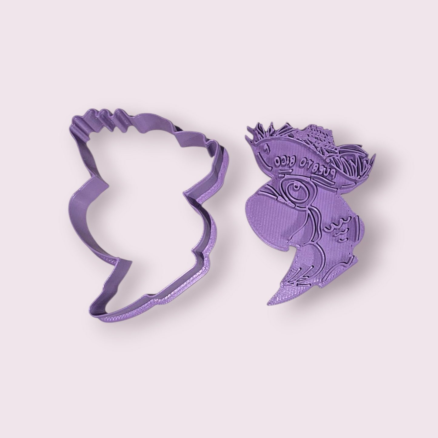 COTORRA PUERTORRIQUEÑA con pava  #3